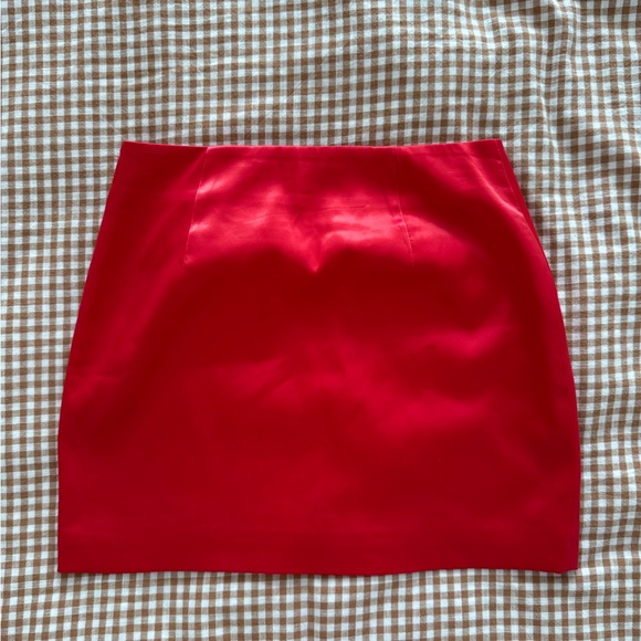 Endless Rose Red Mini Skirt with Floral Detail - Picture 3 of 4